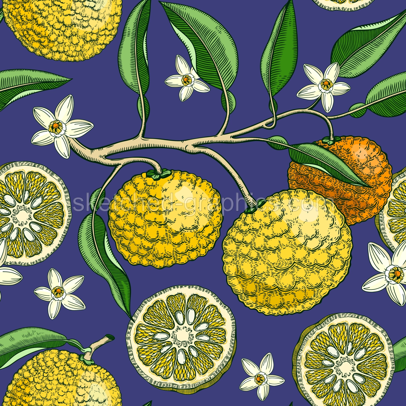Hand drawn yuzu background design. Vintage citrus branches, flowers, leaves whole fruit, cut half piece sketches. Seamless healthy food pattern. Exotic plant illustration for print Illustration